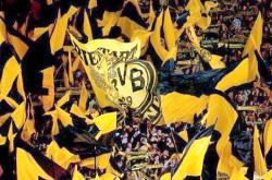 开云平台-沃尔夫斯堡主场取胜，实现反弹的简单介绍