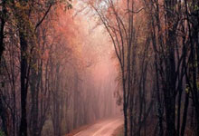 开云体育入口-土耳其翻盘韩国,姆巴佩制霸全场——激情四射的足球盛宴