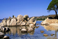 开云体育中国-尼日利亚男篮爆冷击败雄鹿B队,布拉德利绝境逆转彰显坚持与拼搏