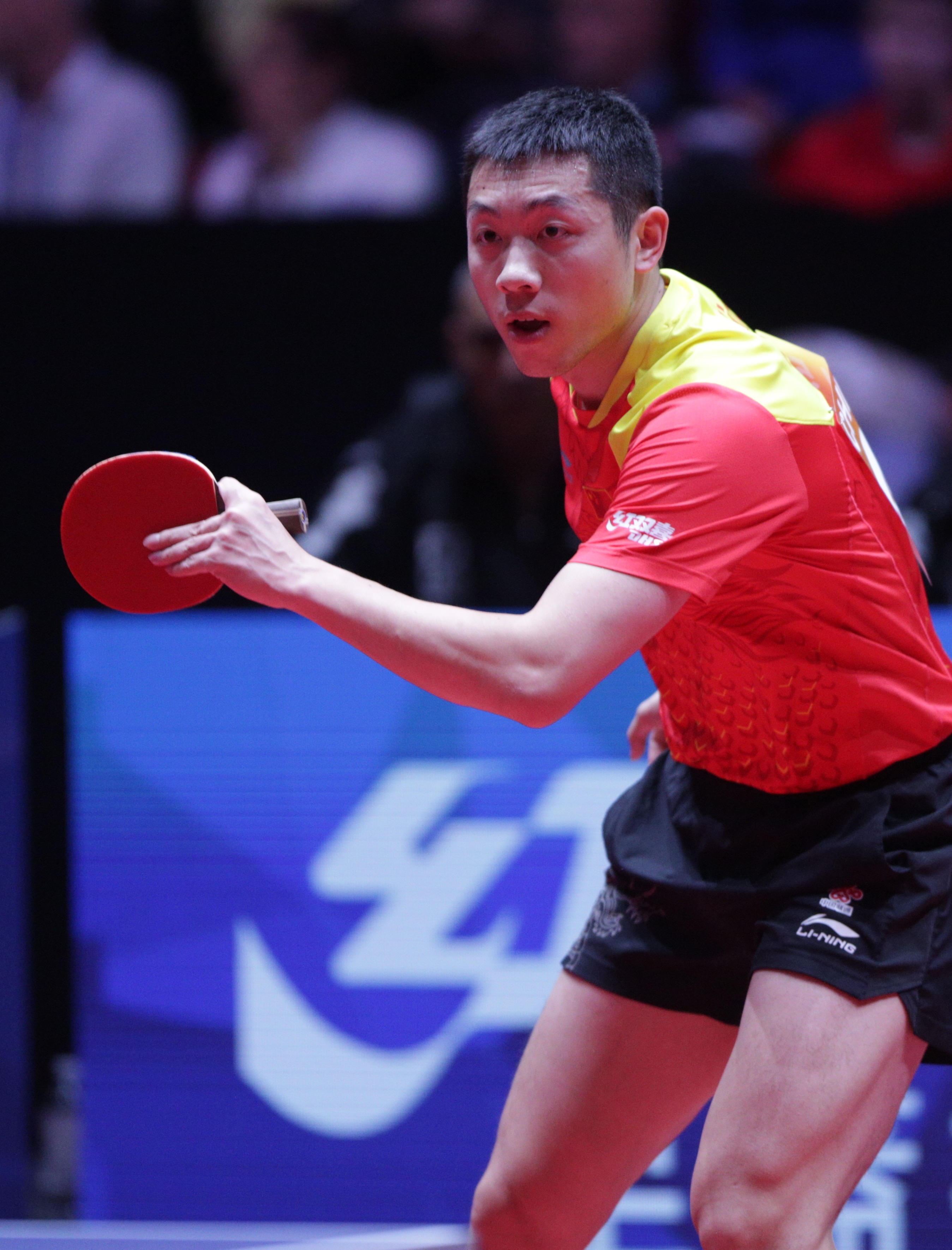 关于比利时乒乓球队血洗奥地利乒乓球队，许昕爆发神勇的信息