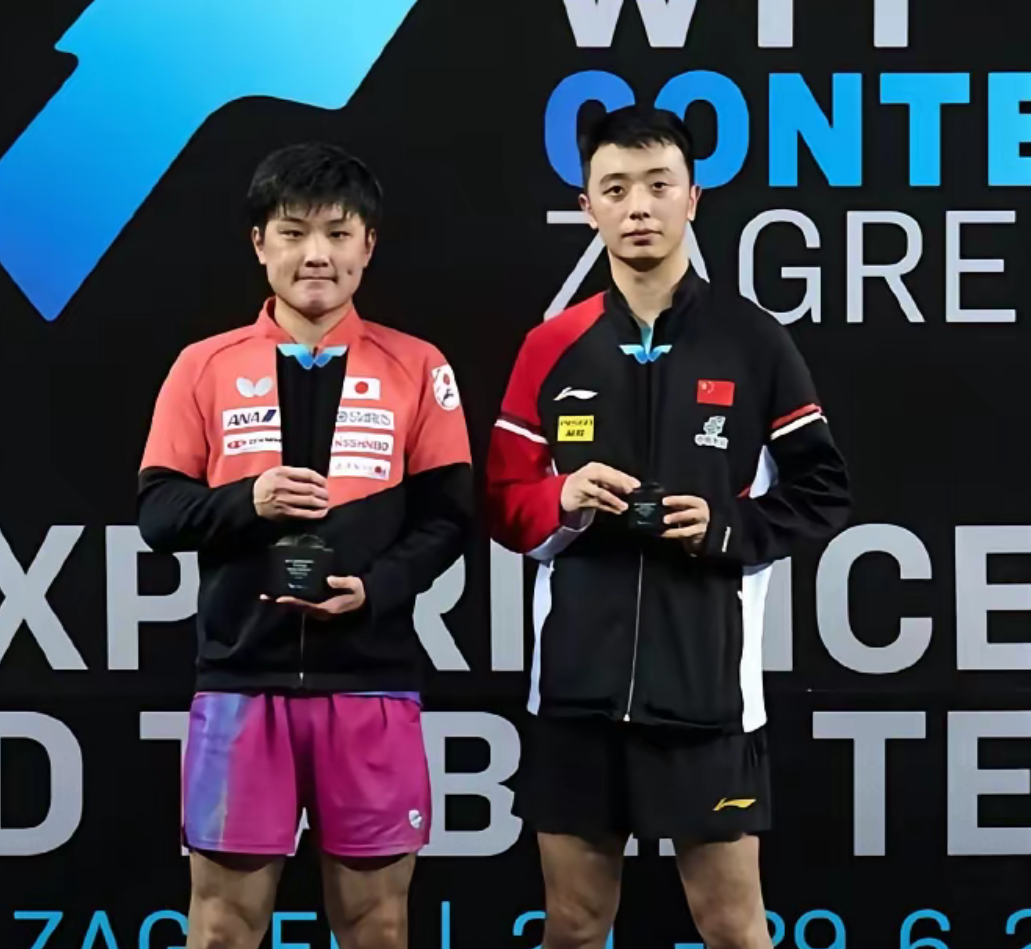 包含中国队碾压葡萄牙队，张本智和扛起全队的词条